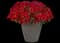 ColorRush Red - Petunia — design image 2