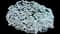 Candytuft (Iberis sempervirens) — design image 3