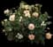 At Last® Rose — design image 1