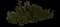 Pacific Yew — design image 2