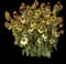 Coneflower — design image 3