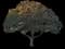 Southern Magnolia — design image 12