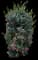 Flame of the Woods — design image 14