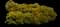 Golden Candlestick Banksia — design image 1