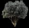 New Zealand Christmas Tree — design image 5