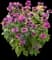Bee Free Bee Balm — design image 1