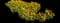 Wild Daffodil — design image 11
