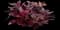 Blushing Bromeliad — design image 2