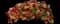 Double The Heat 25 Trixi® Calibrachoa — design image 1