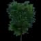 Japanese Zelkova Trees — design image 7
