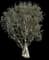 Punk Tree — design image 1