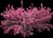 Weigela — design image 3