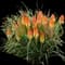 Pyromania® Hot and Cold Red Hot Poker — design image 3