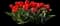 Tulip 'Ad Rem' — design image 2