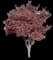 Japanese Maple Tree — design image 4
