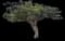 Monkeypod — design image 1