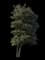 Southern Magnolia — design image 4