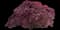 Crimson Queen Japanese Maple — design image 4