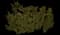 Pacific Yew — design image 6
