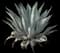 Desert Agave Plant — design image 1