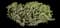 Barbary fig — design image 9