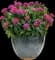 Pardon My Pink™ Bee Balm — design image 2