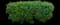 Honeyberry Bush (Lonicera) — design image 1
