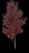 Red Maple Tree — design image 3