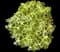 Fatshedera 'Angyo Star' — design image 1