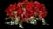 MixMasters™ Plant Combinations from Ball — design image 1