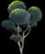 Bush cherry — design image 1