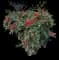 Nandina — design image 15