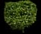Autograph tree — design image 12