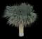 Desert Spoon — design image 33