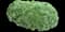 Fringed Sagebrush Wormwood — design image 2