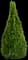 Conica Dwarf Alberta Spruce — design image 5