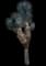 Desert Spoon — design image 10