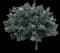 Tree-of-Heaven — design image 4