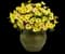 Butterfly Marguerite Daisy — design image 2