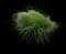 Slough Sedge — design image 1