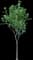 Service Tree — design image 5