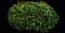 Autograph tree — design image 5