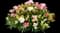 Carnation — design image 2