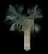 Desert Spoon — design image 34
