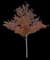 Red Maple Tree — design image 13