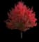Redpointe® Red Maple Tree — design image 2