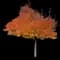 Flowering Pear Tree — design image 17