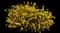 Bangle® Dyers Greenwood — design image 1