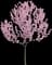 Japanese Flowering Kwanzan Cherry Tree — design image 3