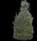 Little Ollie® Dwarf Olive Tree — design image 1